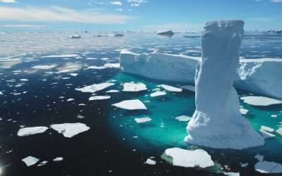 Kako Klimatske Promjene Utječu na Našu Budućnost?